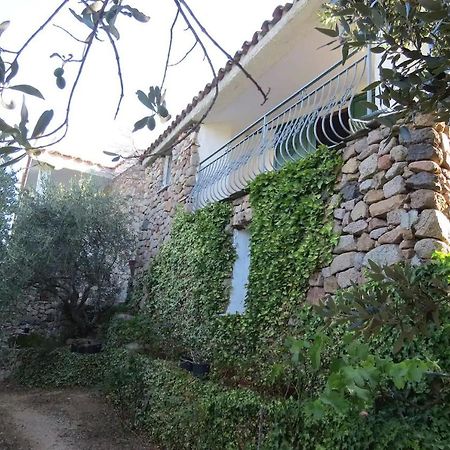 فندق Casa In Campagna دورغالي المظهر الخارجي الصورة