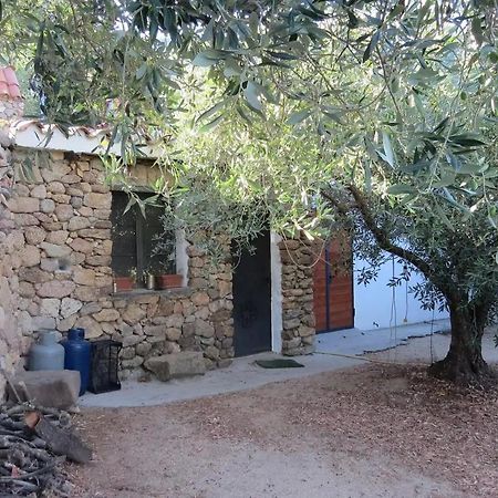 فندق Casa In Campagna دورغالي المظهر الخارجي الصورة